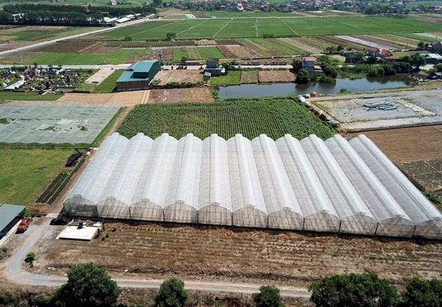 VN's agriculture sector targets growth between 3.2-4% in 2024